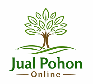 Jual Pohon Online
